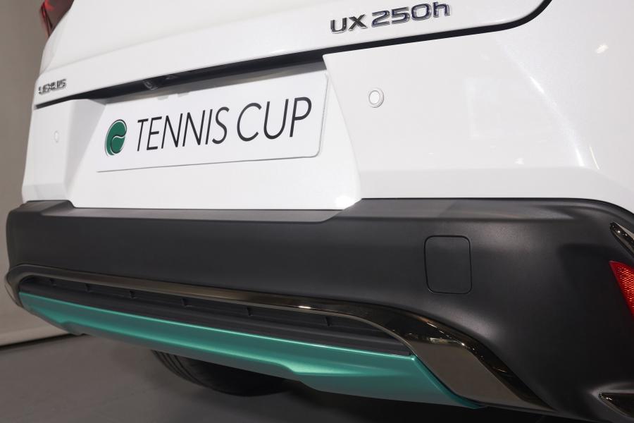 Детали экстерьера Lexus UX250h Tennis Cup 2019 года  (ES) (фото 2 из 13)